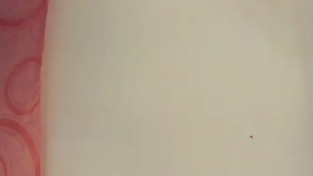 Snapshot of Melanie__Evans chatting on 15, 5, 2026 Melanie Evans online show from 15, 5, 2026