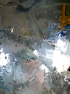 Sunflower0025 online show from 3, 8, 2026
