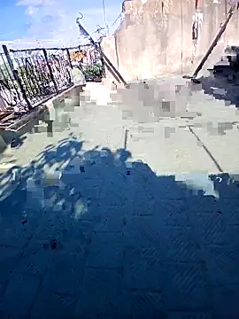 Luzz12 online show from 17, 3, 2026