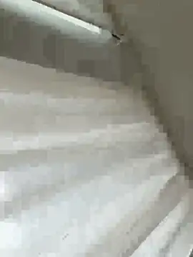 Snapshot of Sara0202 chatting on 18, 2, 2026 Sara0202 online show from 18, 2, 2026