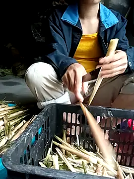 Hayaya11 online show from 17, 3, 2026