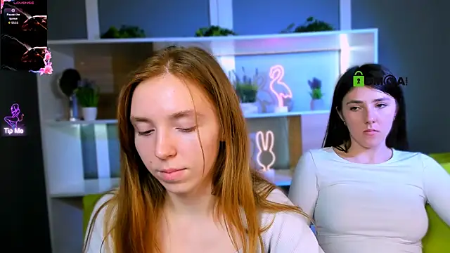 stella flower online show from 31, 3, 2026