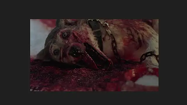 Snapshot of lil_monikaa chatting on 12, 4, 2026 lil monikaa online show from 12, 4, 2026