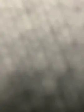 pizza pa online show from 31, 3, 2026