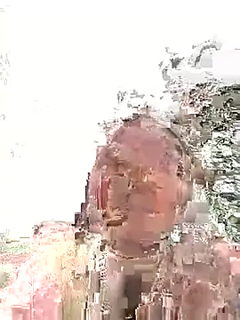 Neoone 1 online show from 15, 3, 2026