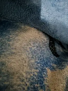 dollpum online show from 4, 3, 2026