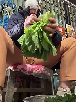 YANINA120 online show from 3, 2, 2026