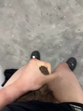 Wvpppp online show from 3, 3, 2026