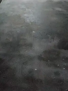 Sgs594802799 online show from 23, 3, 2026