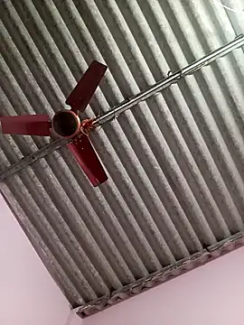 ROMASARKAR online show from 3, 3, 2026