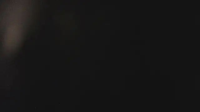 Snapshot of Fancy_Vixen chatting on 27, 2, 2026 Fancy Vixen online show from 27, 2, 2026