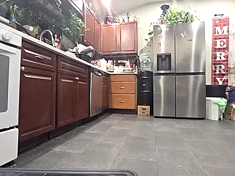 bischo666 online show from 24, 2, 2026