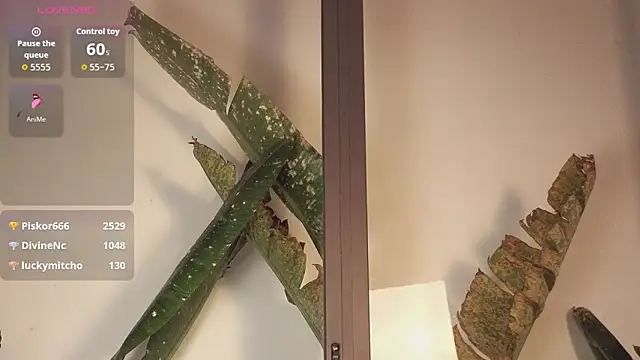 came-a-lot online show from 22, 2, 2026