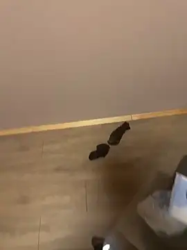 Snapshot of kin-y7 chatting on 7, 2, 2026 kin-y7 online show from 7, 2, 2026