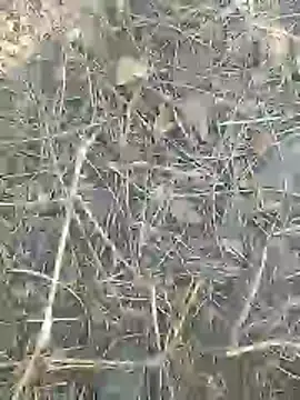 Cute Boy 4 online show from 9, 3, 2026