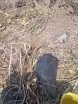 Cute Boy 4 online show from 20, 3, 2026