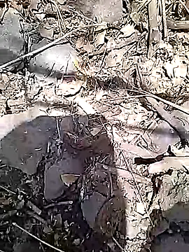 Snapshot of Cute_Boy_4 chatting on 10, 5, 2026 Cute Boy 4 online show from 10, 5, 2026