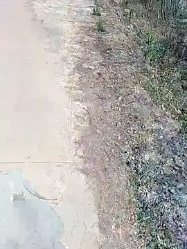 janu 9900 online show from 18, 2, 2026