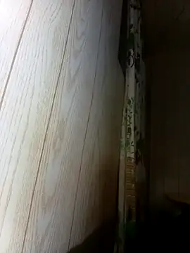 Snapshot of Prikev38452 chatting on 12, 2, 2026 Prikev38452 online show from 12, 2, 2026