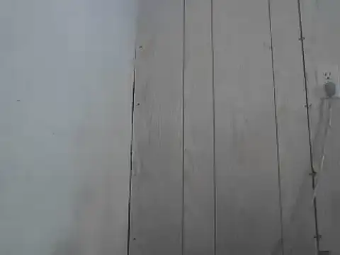 Prikev38452 online show from 1, 4, 2026