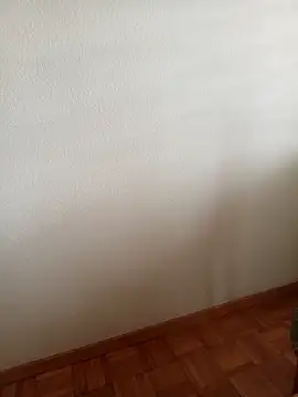 baipal74 online show from 19, 2, 2026