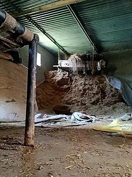 Sharmasamba online show from 27, 3, 2026