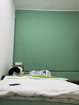 Snapshot of DavShi chatting on 25, 2, 2026 DavShi online show from 25, 2, 2026