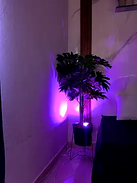 Snapshot of KATA-GAITAN chatting on 27, 2, 2026 KATA-GAITAN online show from 27, 2, 2026