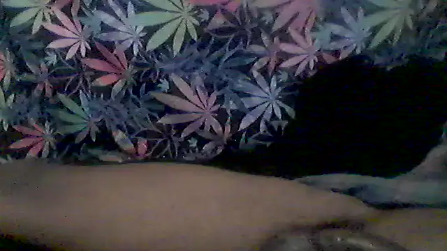 Snapshot of libraxxxstudios chatting on 9, 6, 2026 libraxxxstudios online show from 9, 6, 2026