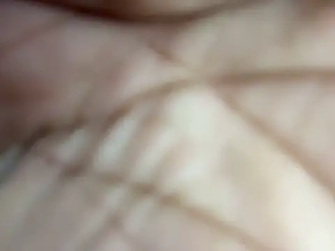 torchermachine online show from 23, 4, 2026