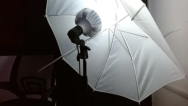 Snapshot of Miss_Merrie chatting on 1, 3, 2026 Miss Merrie online show from 1, 3, 2026