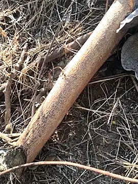 Vinita cuty online show from 9, 2, 2026