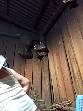 lena-cute online show from 5, 2, 2026