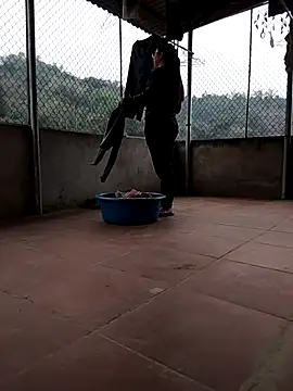 LiilyZi online show from 5, 3, 2026