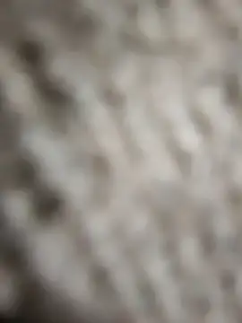 Snapshot of Flexxxo09 chatting on 4, 2, 2026 Flexxxo09 online show from 4, 2, 2026