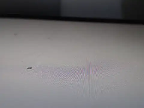 AlyssaBrown online show from 21, 2, 2026