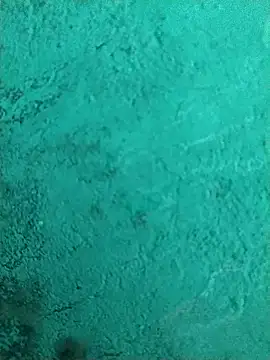 imasanju online show from 11, 2, 2026