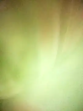 Snapshot of BIG_QWEEN_NO1 chatting on 20, 2, 2026 BIG QWEEN NO1 online show from 20, 2, 2026