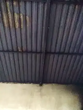 Linka998 online show from 13, 3, 2026