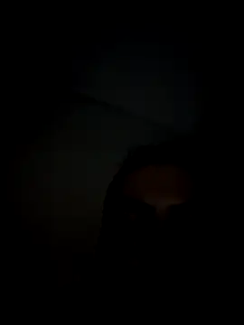 Snapshot of PelifiFilipee chatting on 12, 2, 2026 PelifiFilipee online show from 12, 2, 2026