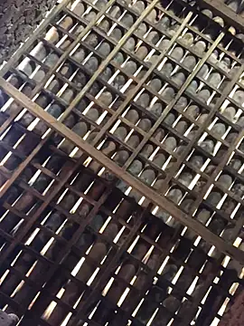 Snapshot of novinhavip777 chatting on 9, 2, 2026 novinhavip777 online show from 9, 2, 2026