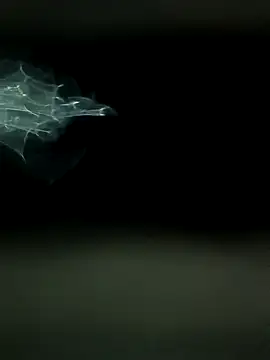 Snapshot of maharashtra_boy_mh19 chatting on 18, 3, 2026 maharashtra boy mh19 online show from 18, 3, 2026