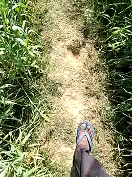 aryanvfit online show from 14, 2, 2026