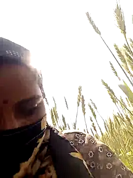 Pallavi hote online show from 17, 2, 2026