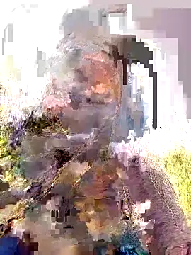 Pallavi hote online show from 22, 2, 2026