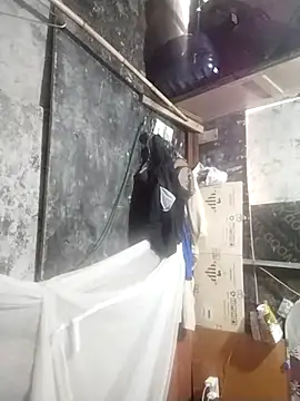 cute-shine online show from 14, 3, 2026