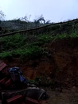 lovely-742 online show from 12, 3, 2026