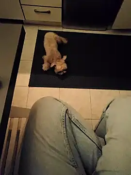 Snapshot of Ginevra01 chatting on 9, 3, 2026 Ginevra01 online show from 9, 3, 2026