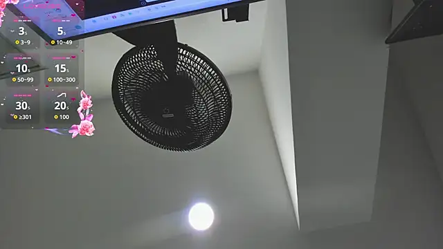 agartha velvet online show from 30, 3, 2026