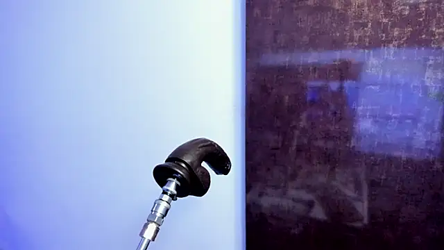 irene lopes online show from 7, 3, 2026